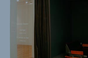 view of the show1